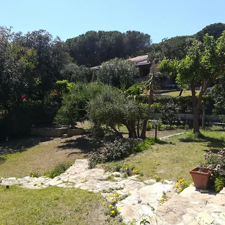 Fiorita *